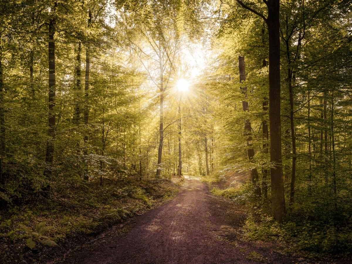 Trusting the Season You’re&nbsp;In